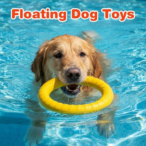6 Pack Dog Toy Dog Training Ring for Outdoor Aggressive Durable Pet Chewers Fetch Toys Disc Floating Puppy Ring for Large Medium Puppy Training and Teeth Cleaning (7.17 Inch) in Kuwait