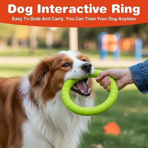 6 Pack Dog Toy Dog Training Ring for Outdoor Aggressive Durable Pet Chewers Fetch Toys Disc Floating Puppy Ring for Large Medium Puppy Training and Teeth Cleaning (7.17 Inch) in Kuwait