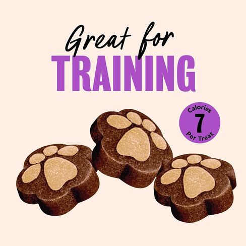 Cesar Softies Chewy Soft Dog Treats, Filet Mignon Flavor, 18 oz. Pouch, 200 Treats in Saudi Arabia