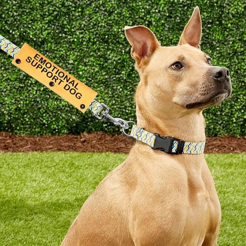 PWHAOO Emotional Support Dog Leash Sleeve ESA Dog Leash Sleeve Service Dog Leash Wrap (Emotional Sleeve) in Kuwait