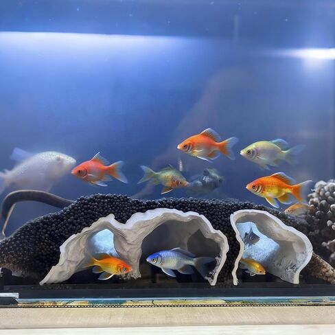 Saim Aquarium Cave Decor – 3D Printed Fish Hideout Tunnel for Betta, Guppy & Corydora Catfish – Natural Curved Shrimp Hideout with Multi-Hole Design Fish Tank Underground Corner Cave (Black, Medium) in Kuwait