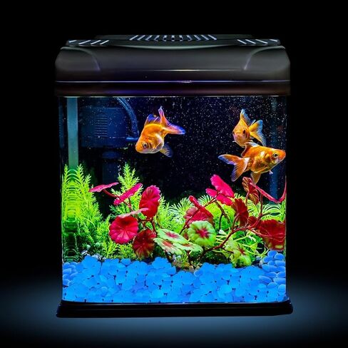 200 Pcs Glowing Rocks, Blue Glow Pebbles for Garden, Yard, Walkway, Aquarium & Landscape Lighting, DIY Crafts in Kuwait