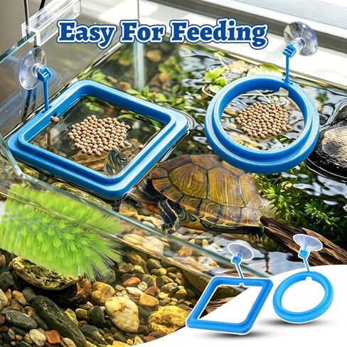 3 Pcs Aquatic Turtle Tank Accessories, Turtle Feeding Ring with Suction Cup and Brush, Toys for Tortoise Aquarium Enrichment Habitat in Kuwait