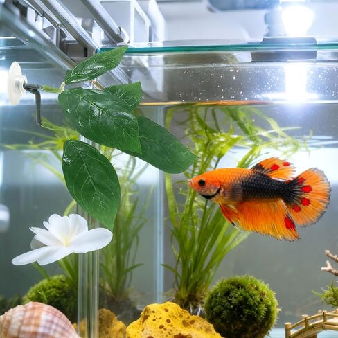 3 Pcs Betta Fish Leaf Hammock, Plastic Betta Leaves with Suction Cups, Betta Fish Leaf Pad Simulating The Natural Habitat for Sleeping Resting Hiding Playing Breeding, Fish Tank Accessories, Green in Kuwait