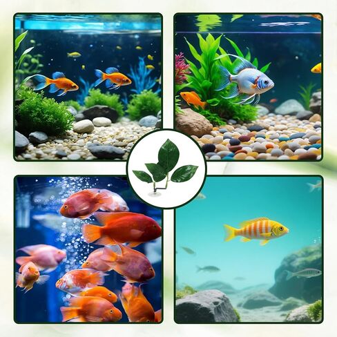 3 Pcs Betta Fish Leaf Hammock, Plastic Betta Leaves with Suction Cups, Betta Fish Leaf Pad Simulating The Natural Habitat for Sleeping Resting Hiding Playing Breeding, Fish Tank Accessories, Green in Kuwait