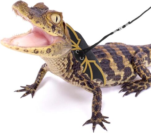 SUPVOX Bearded Dragon Leash Harness with Cool Wings, Outdoor Gecko Traction Rope for Lizard Walking, 3pcs Gold Set for Reptile Training and Exploration in Kuwait