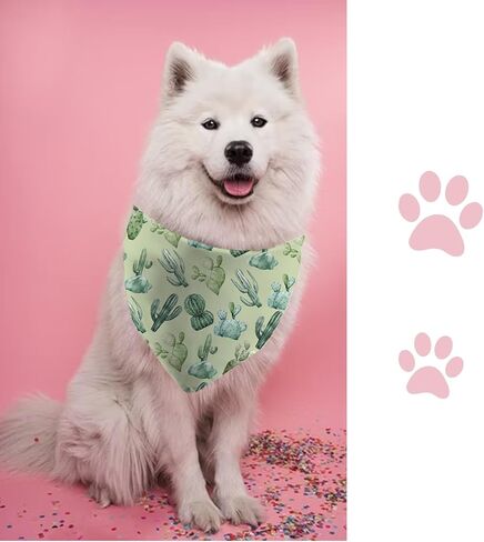 JXGZSO 1 Piece Cactus Puppy Bandana Spring Summer Dog Scarf Gardening Gift Cactus Lovers Gift (Cactus Dog) in Kuwait