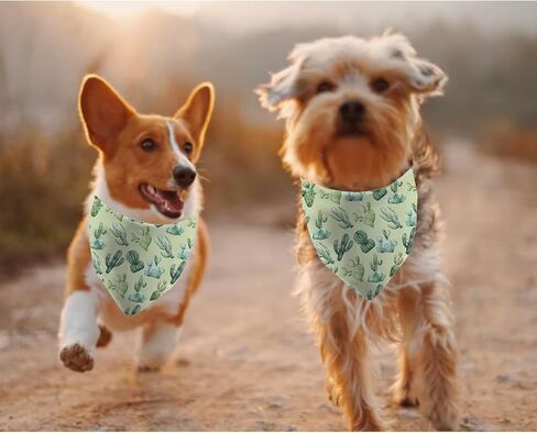JXGZSO 1 Piece Cactus Puppy Bandana Spring Summer Dog Scarf Gardening Gift Cactus Lovers Gift (Cactus Dog) in Kuwait