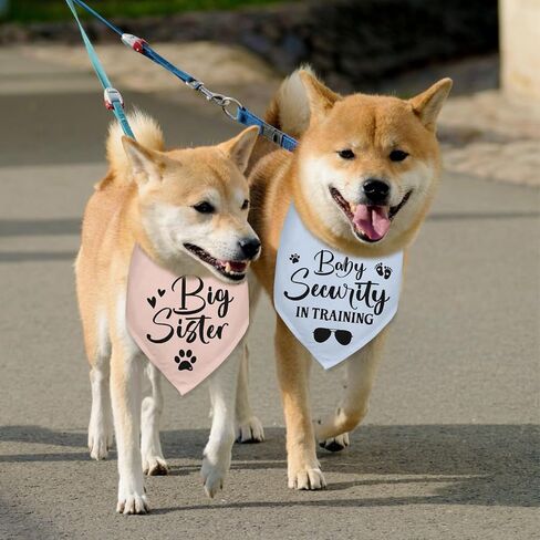 2 Packs Big Sister Dog Bandana Pregnancy Announcement Baby Security in Training Dog Gender Reveal Outfit Baby Announcement Ideas Durable Triangle Scarf for Small Medium Large Dogs in Kuwait