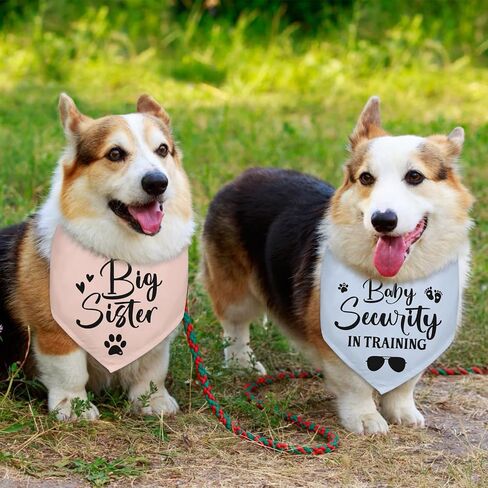 2 Packs Big Sister Dog Bandana Pregnancy Announcement Baby Security in Training Dog Gender Reveal Outfit Baby Announcement Ideas Durable Triangle Scarf for Small Medium Large Dogs in Kuwait