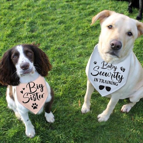 2 Packs Big Sister Dog Bandana Pregnancy Announcement Baby Security in Training Dog Gender Reveal Outfit Baby Announcement Ideas Durable Triangle Scarf for Small Medium Large Dogs in Kuwait
