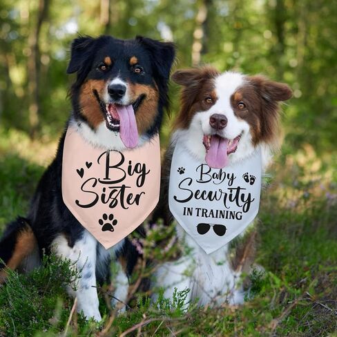 2 Packs Big Sister Dog Bandana Pregnancy Announcement Baby Security in Training Dog Gender Reveal Outfit Baby Announcement Ideas Durable Triangle Scarf for Small Medium Large Dogs in Kuwait