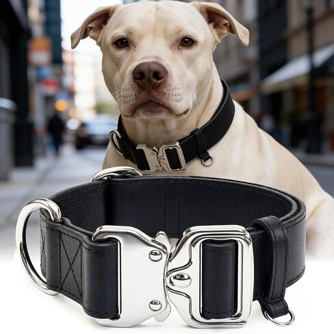 AssuredLock Leather Dog Collar, 1.5" Wide, Smooth Quick-Release Buckle with Adjustable Design, Heavy-Duty Handcrafted Collars for Large Dogs, Brown Gold-L in Saudi Arabia
