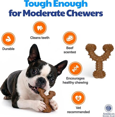 American Kennel Club 3 عبوات من ألعاب مضغ الكلاب لتدريب الكلاب، ألعاب الكلاب المملوءة بالخشب PP Spiky Wishbone، ألعاب الكلاب المتينة للمضغ المعتدل، لحم البقر المعطر للمشاركة طويلة الأمد، يدعم صحة الأسنان in Kuwait