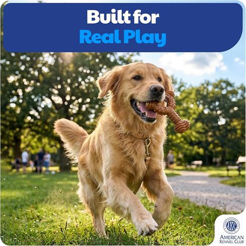 American Kennel Club 3 عبوات من ألعاب مضغ الكلاب لتدريب الكلاب، ألعاب الكلاب المملوءة بالخشب PP Spiky Wishbone، ألعاب الكلاب المتينة للمضغ المعتدل، لحم البقر المعطر للمشاركة طويلة الأمد، يدعم صحة الأسنان in Kuwait