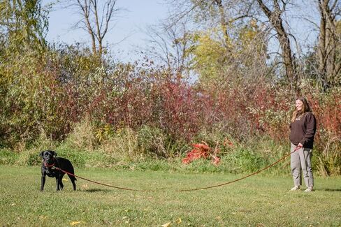 Mad Dog Products Long Dog Leash with Clip 1/4" x 15' Orange - Made in USA in Kuwait