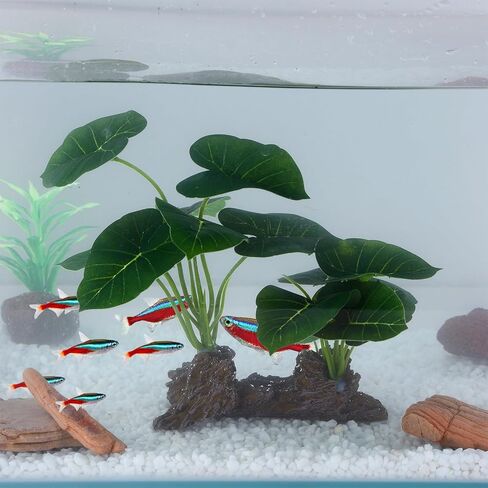 Betta Fish Tank Accessories Artificial Aquarium Ornaments Reptiles Silk Leaf Plants Decoration Driftwood Cave Deco in Kuwait