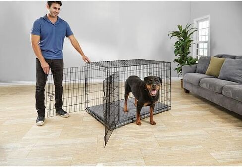 قفص كلاب EveryYay من Petco فائق القوة قابل للطي ببابين مقاس XX-Large 49.3 بوصة طول × 29.81 بوصة عرض × 32.29 بوصة ارتفاع بدون مقابض in Kuwait