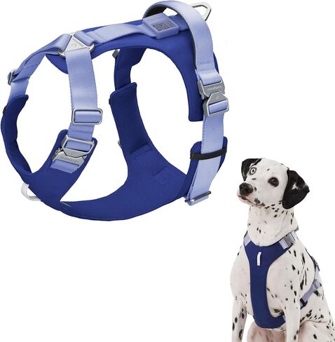 Dog Harness Heavy Duty No Pull Dog Harness with Handle, QR Code Anti-Loss Alloy Buckle Adjustable Nylon Dog Vest Control Harness for Medium Large Dogs Walking Training (Vivid Red, L) in Saudi Arabia