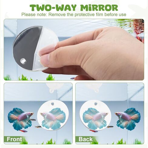 2 Pcs Betta Fish Exercise Love Ring & Betta Mirror, Betta Enrichment Toys, Betta Fish Tank Accessories, Betta Fish Toysfor Training, Play in Kuwait