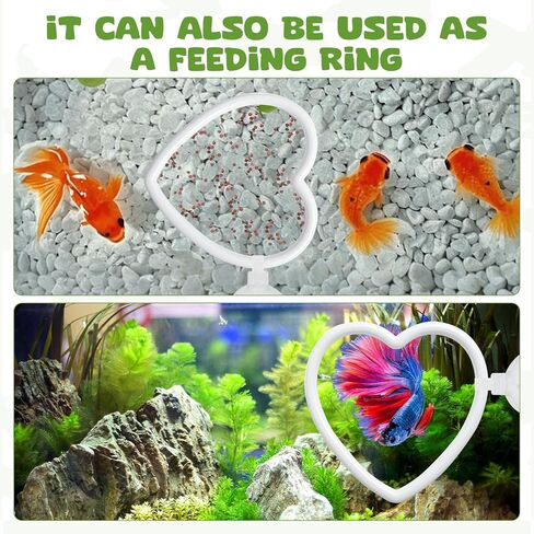 2 Pcs Betta Fish Exercise Love Ring & Betta Mirror, Betta Enrichment Toys, Betta Fish Tank Accessories, Betta Fish Toysfor Training, Play in Kuwait