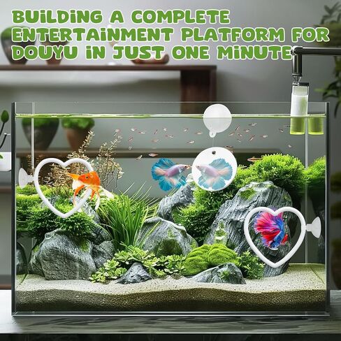 2 Pcs Betta Fish Exercise Love Ring & Betta Mirror, Betta Enrichment Toys, Betta Fish Tank Accessories, Betta Fish Toysfor Training, Play in Kuwait