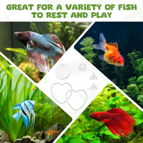 2 Pcs Betta Fish Exercise Love Ring & Betta Mirror, Betta Enrichment Toys, Betta Fish Tank Accessories, Betta Fish Toysfor Training, Play in Kuwait