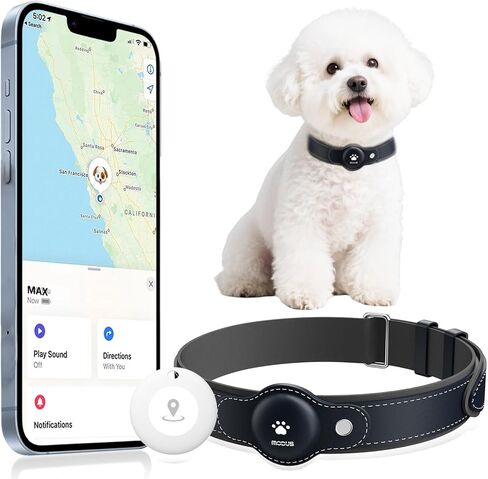 GPS Tracker for Dogs, 2 in 1 Smart Pet Collar (Only iOS), No Monthly Fee Waterproof Dog Collar with Real-time Tracking, Anti-Lost, 365-Day Long Battery GPS Tracker for All Sized Dogs(Locator Included) in Kuwait