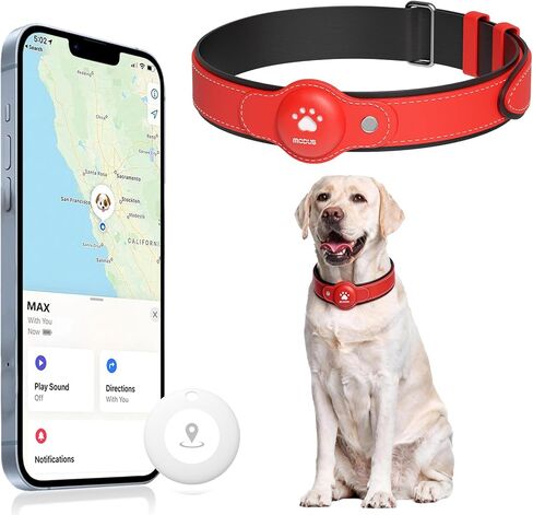 GPS Tracker for Dogs, 2 in 1 Smart Pet Collar (Only iOS), No Monthly Fee Waterproof Dog Collar with Real-time Tracking, Anti-Lost, 365-Day Long Battery GPS Tracker for All Sized Dogs(Locator Included) in Kuwait