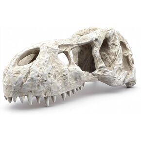Animal Skull Aquarium Tank Decorations, Reptile & Amphibian Habitat Hideouts, Dinosaur T-Rex Dragon Decor Accessories for Fish, Lizard, Gecko in Kuwait