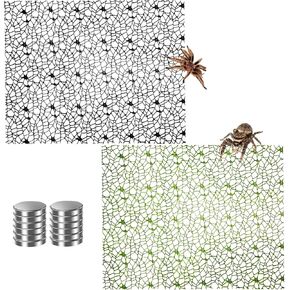 Hamiledyi Jumping Spider Enclosure Accessories 20 x 12'' Climbing Net Magnetic Spider Web Mesh Mantis Enclosure Net Tarantula Terrarium Habitat Decor (Green+Black) in Kuwait