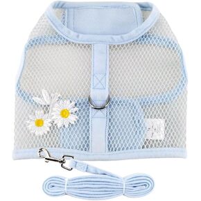 Cool Mesh Dog Harness with Leash - Blue Daisy (Medium) in Kuwait