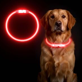 Rechargeable Reflective Pet Gear LED Dog Collar Light Up, Flashing Glowing Illuminated Collar for Night Walking, Neon Pet Collar with Light for Small/Medium/Large Dogs (Red, 1-Pack) in Kuwait