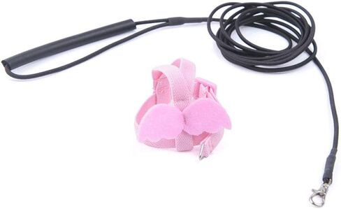 Peony Harness and Leash, Adjustable Parrot Bird Training Design Anti-Bite, Bird Nylon Rope with Cute Wing for Peony Parrot(Pink) in Kuwait