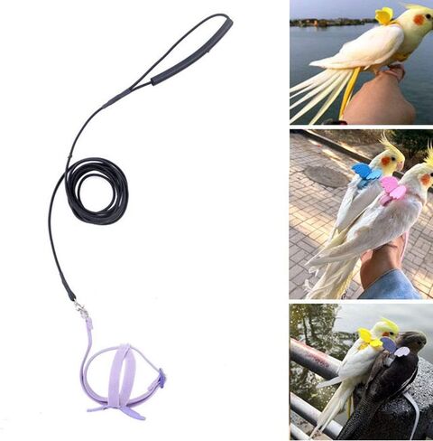 Peony Harness and Leash, Adjustable Parrot Bird Training Design Anti-Bite, Bird Nylon Rope with Cute Wing for Peony Parrot(Pink) in Kuwait
