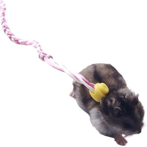2-piece pet Hamster Leash with Bell, 1.4 Meters Long, Suitable for Guinea Pigs, Squirrels, Rabbits, Small Animal Walking Ropes, Colors Randomly Sent in Kuwait