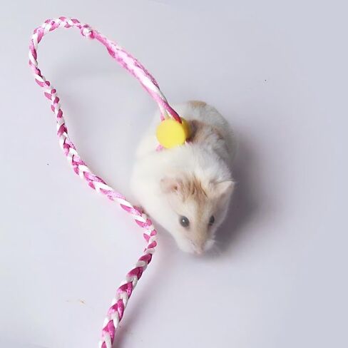 2-piece pet Hamster Leash with Bell, 1.4 Meters Long, Suitable for Guinea Pigs, Squirrels, Rabbits, Small Animal Walking Ropes, Colors Randomly Sent in Kuwait
