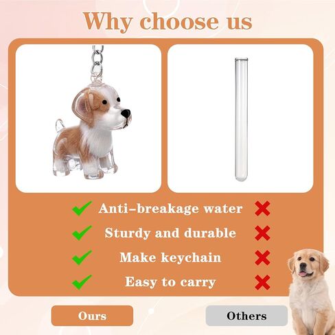 TIESOME 2Pcs Dog Hair Storage Keychain, Pet Hair Collector Keychain Charm Memorial Storage Box Portable Transparent Cute Fur Keepsake Key Chain for Backpacks, Pet Lovers Commemorative Gifts in Kuwait
