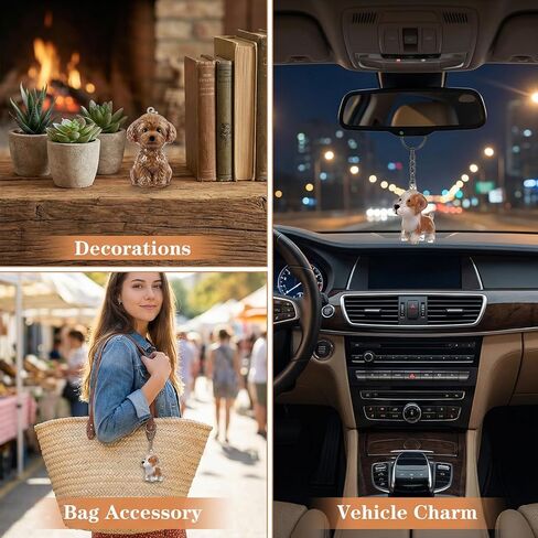 TIESOME 2Pcs Dog Hair Storage Keychain, Pet Hair Collector Keychain Charm Memorial Storage Box Portable Transparent Cute Fur Keepsake Key Chain for Backpacks, Pet Lovers Commemorative Gifts in Kuwait