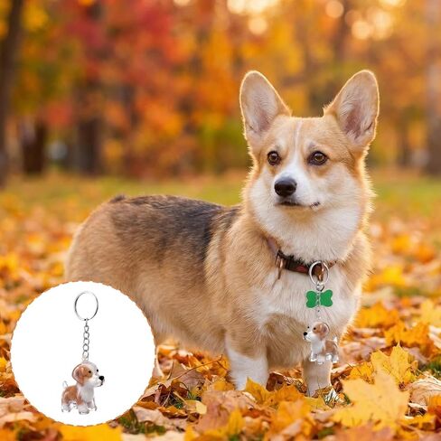 TIESOME 2Pcs Dog Hair Storage Keychain, Pet Hair Collector Keychain Charm Memorial Storage Box Portable Transparent Cute Fur Keepsake Key Chain for Backpacks, Pet Lovers Commemorative Gifts in Kuwait