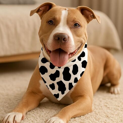White and Black Cow Print Pet Bandana, Funny Animal Themed Dog Scarf, Adjustable Comfortable Triangle Dog Scarf for Small Medium Dogs in Kuwait