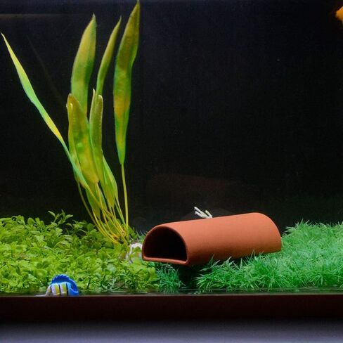 Saim Aquarium Plecos Cave Decoration Ceramic Fish Spawning Cave Fish Tank Ornaments with 3 Fish for Betta Shrimp Shelter Breeding Tube Hiding Rest and Play in Kuwait