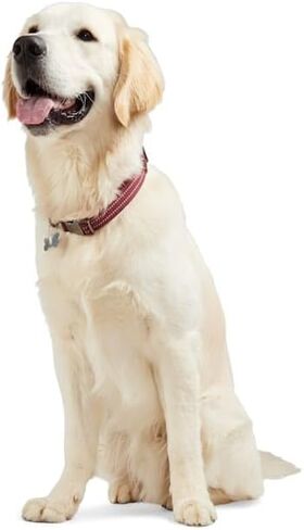 Reddy by Petco Webbed Dog Collar Burgundy Medium in Kuwait