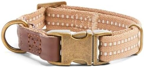 Reddy by Petco Webbed Dog Collar Burgundy Medium in Kuwait