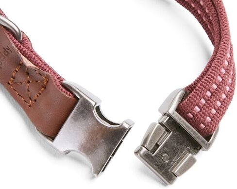 Reddy by Petco Webbed Dog Collar Burgundy Medium in Kuwait