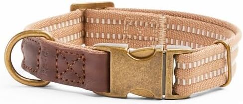 Reddy by Petco Webbed Dog Collar Burgundy Medium in Kuwait