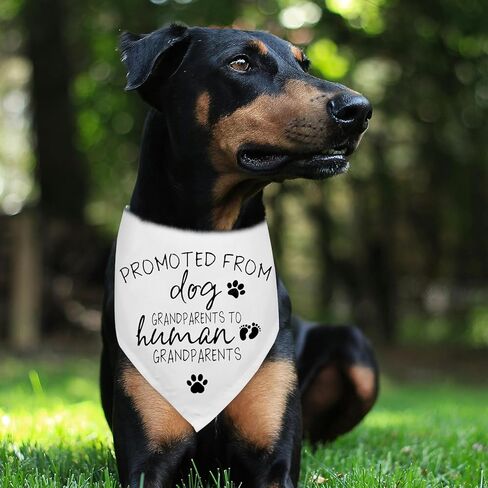 Grandparents Baby Announcement Dog Bandana Promoted to Grandparents Pregnancy Announcement Gender Reveal Photo Props Promoted to Grandma Grandpa Durable Triangle Scarf for Small Medium Large Dogs in Kuwait