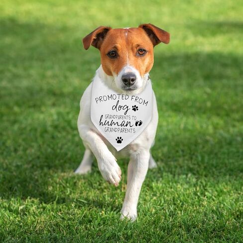 Grandparents Baby Announcement Dog Bandana Promoted to Grandparents Pregnancy Announcement Gender Reveal Photo Props Promoted to Grandma Grandpa Durable Triangle Scarf for Small Medium Large Dogs in Kuwait