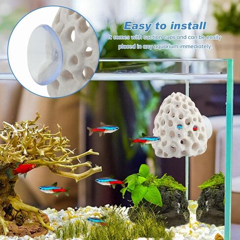 PUXING Shrimp Dome Hide Shrimp Hides for Aquarium Bettas Fish Hideout with Suction Cup Aquarium Fish Cave Hideout Bettas Habitat Fishs Tank Tunnel(Color:White) in Kuwait
