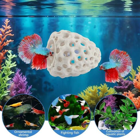 PUXING Shrimp Dome Hide Shrimp Hides for Aquarium Bettas Fish Hideout with Suction Cup Aquarium Fish Cave Hideout Bettas Habitat Fishs Tank Tunnel(Color:White) in Kuwait